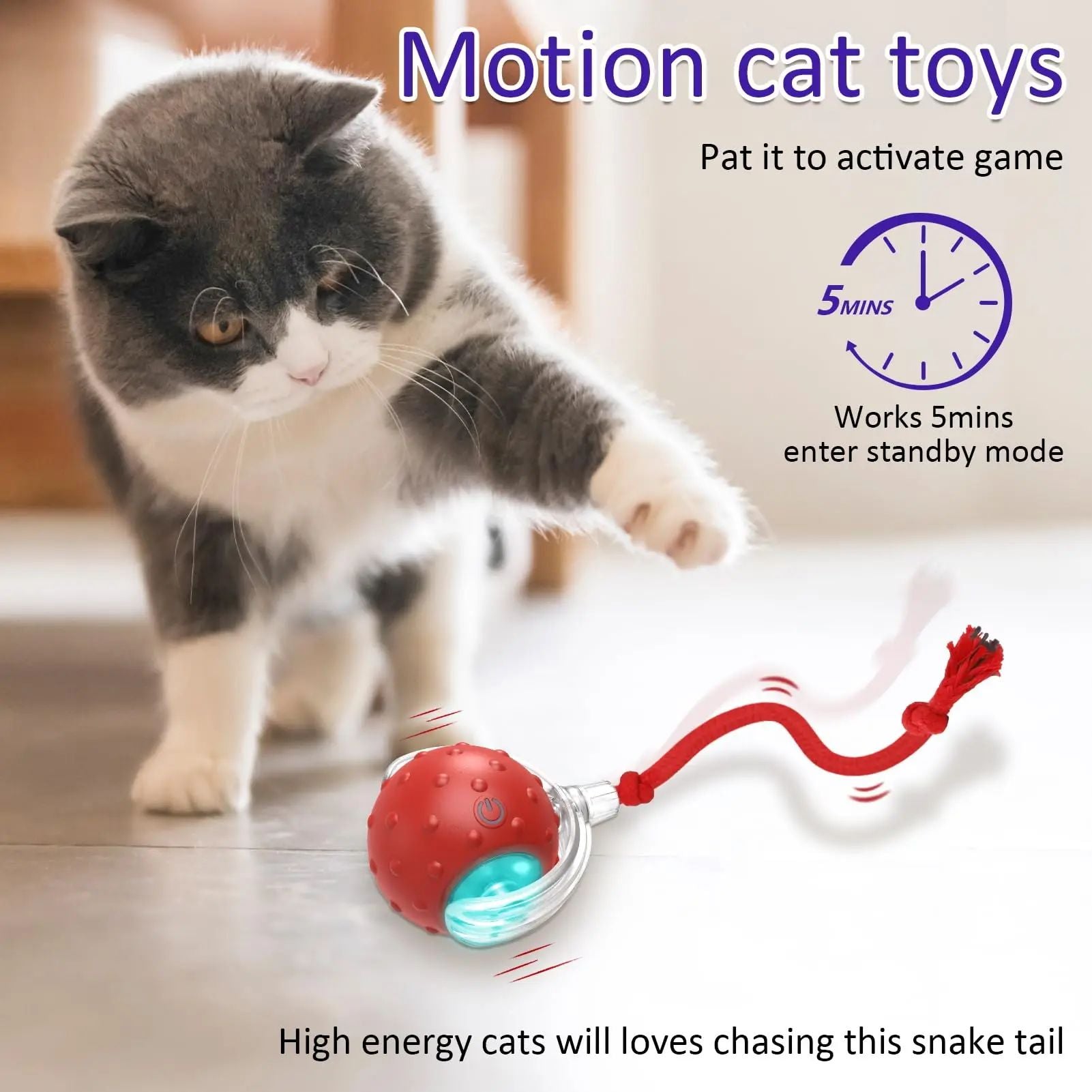 New Cat Rolling Ball Bird Chirping