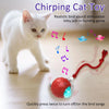 New Cat Rolling Ball Bird Chirping